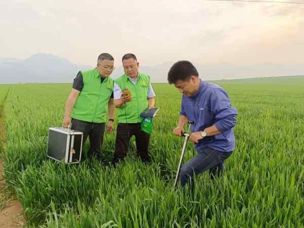 专家田间地头测土配方施肥 为耕地定制“营养餐”