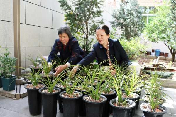 兰花寄养“开出”致富新路径