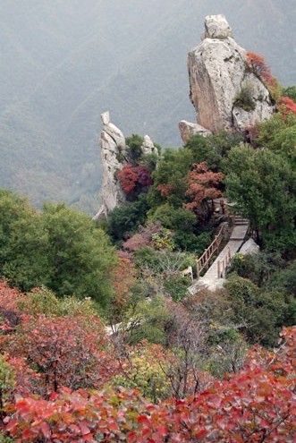 西安农家乐-翠华山-赏红叶（图）