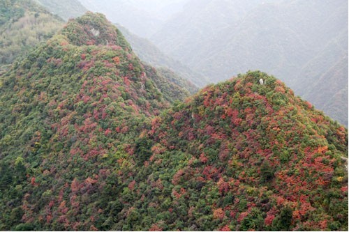 西安农家乐-翠华山-赏红叶（图）