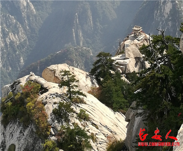 诗歌：西岳华山（何养荣.十里荷香）