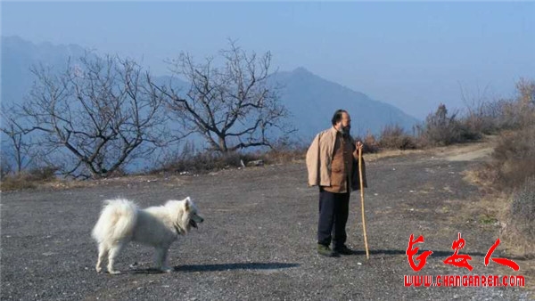 散文：-明空禅院里的生灵（崔彦）