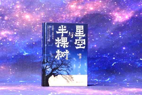 评论：陈彦长篇小说《星空与半棵树》阅读札记（姜乾相）